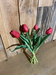 Tulp boeket rood