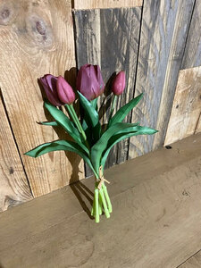 Tulp boeket paars